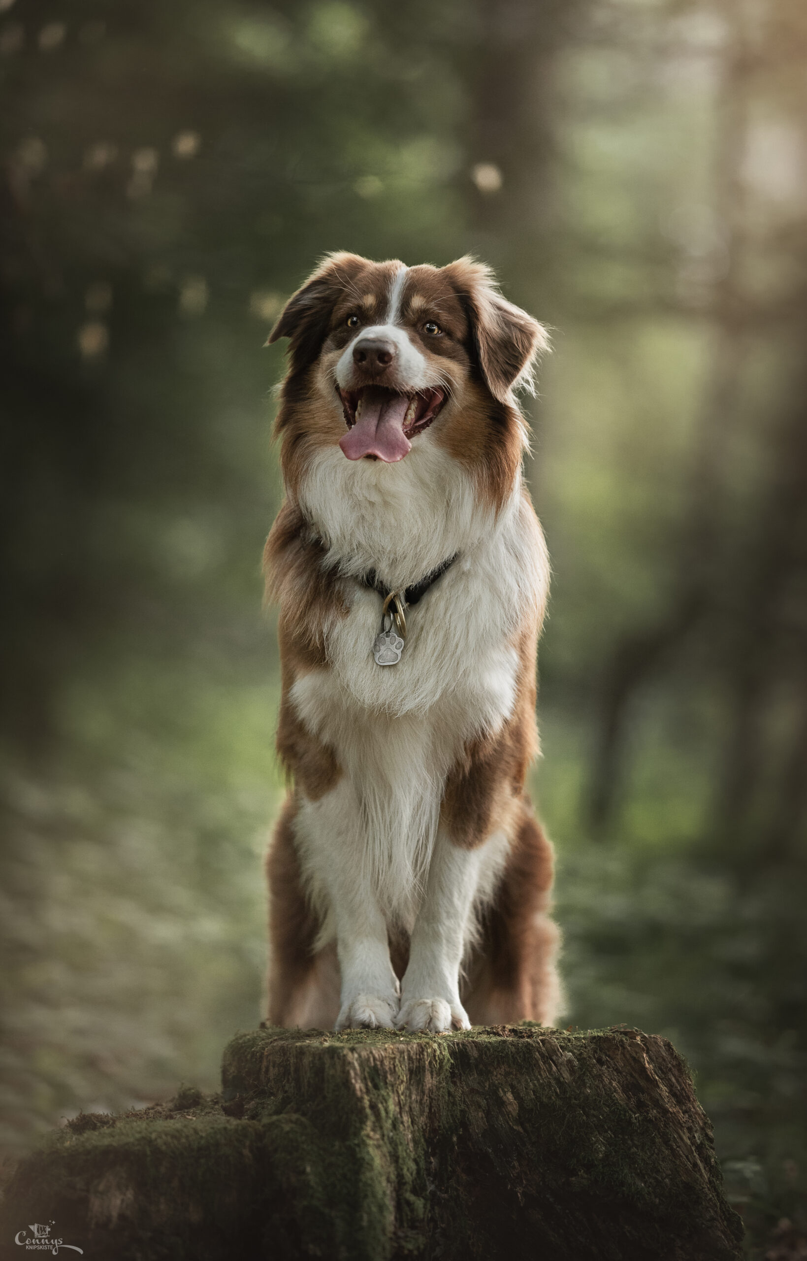 _DSC1743-Bearbeiteta